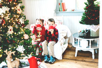 Maria Leach and Fams Christmas Minis